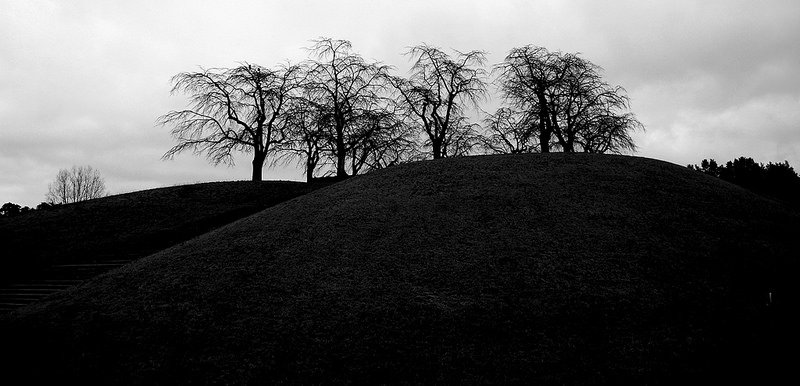 スクーグシュルコゴーデンの画像18