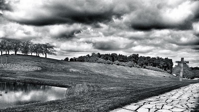 スクーグシュルコゴーデンの画像25