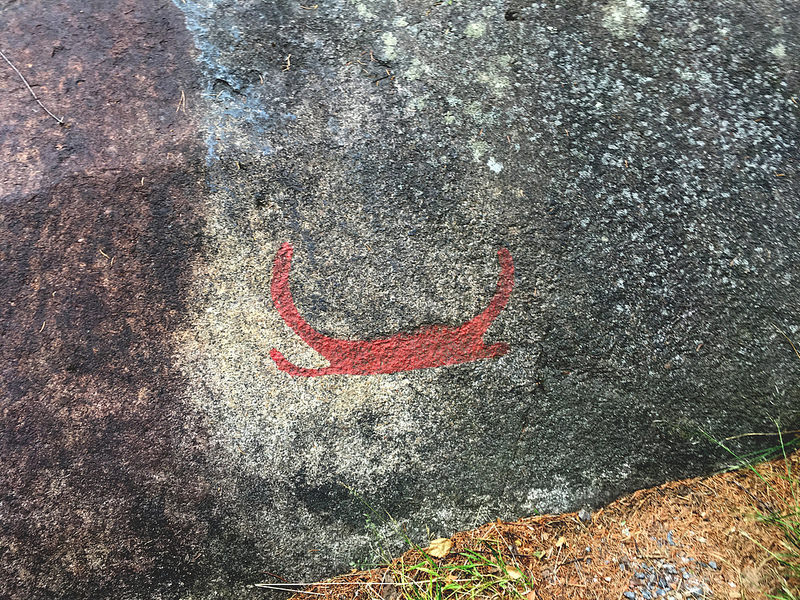 タヌムの線刻画群の画像5