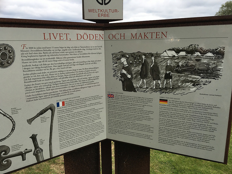 タヌムの線刻画群の画像7