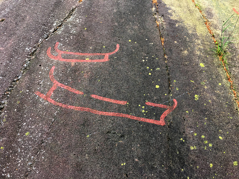 タヌムの線刻画群の画像10