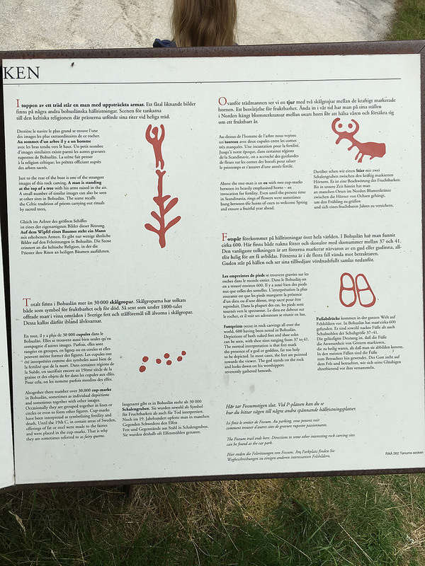 タヌムの線刻画群の画像11