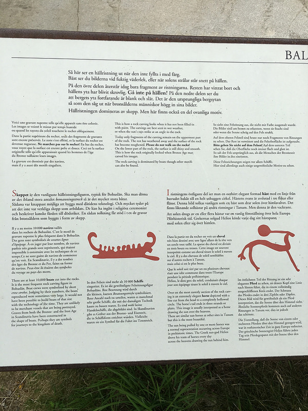 タヌムの線刻画群の画像13