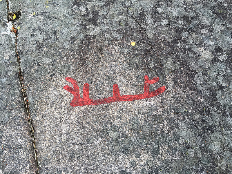 タヌムの線刻画群の画像19