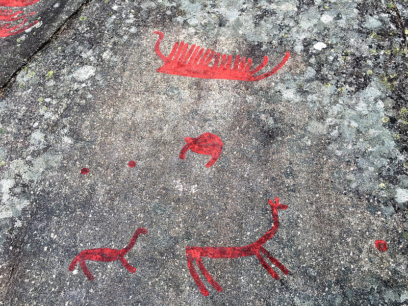 タヌムの線刻画群の画像22