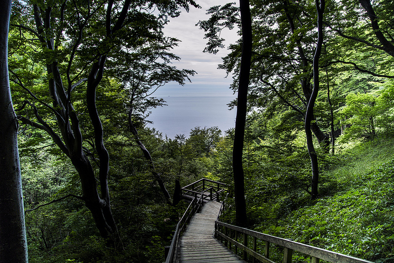 ハイ・コースト（ヘーガ・クステン）の画像6