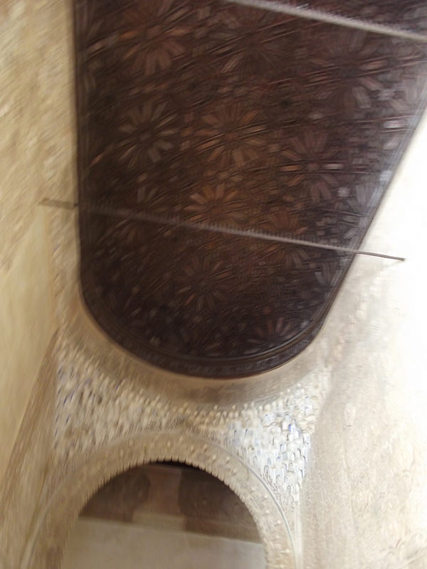 グラナダのアルハンブラ、ヘネラリーフェ、アルバイシン地区の画像5