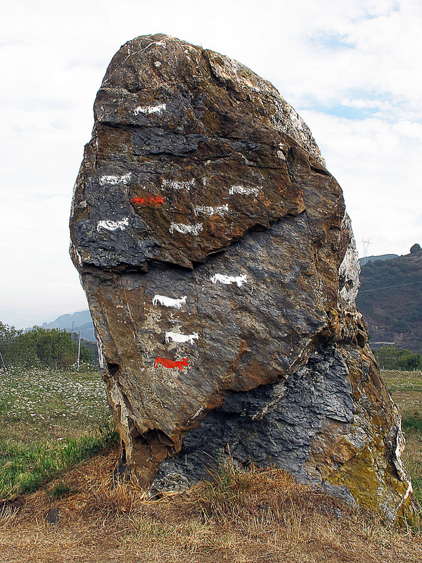 アルタミラ洞窟と北スペインの旧石器時代の洞窟画の画像12