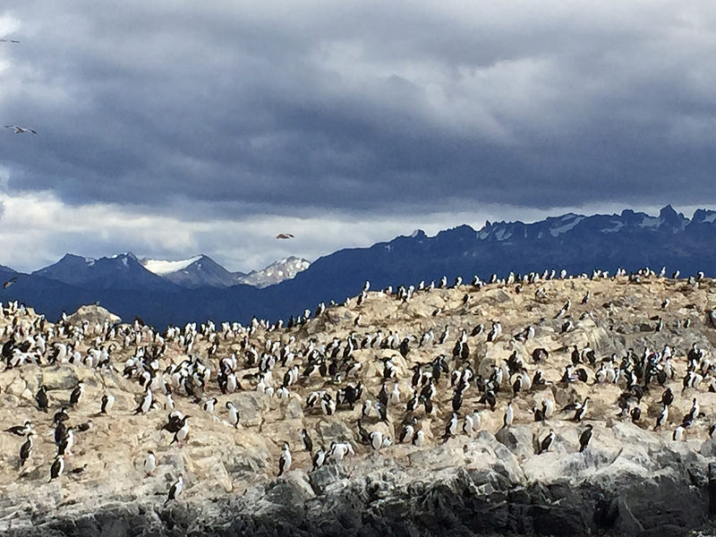 オルノス・デ・ラ・ペーニャ洞窟の画像1