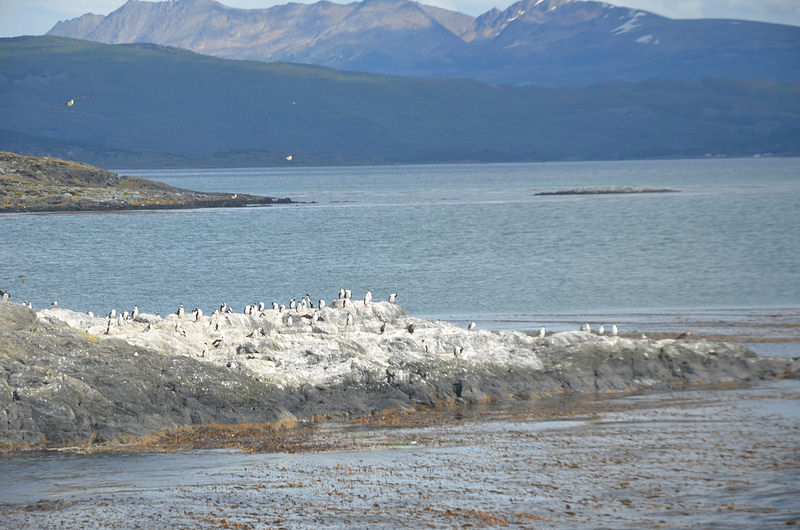 オルノス・デ・ラ・ペーニャ洞窟の画像8