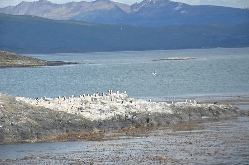 オルノス・デ・ラ・ペーニャ洞窟の画像9