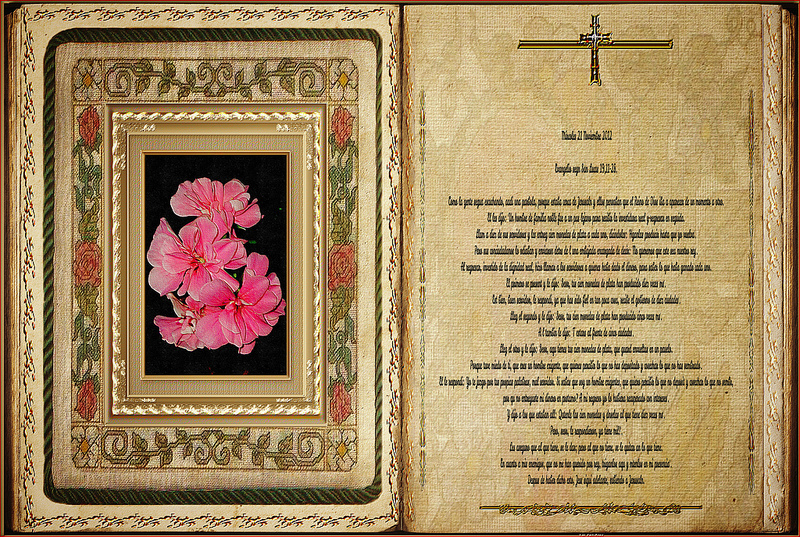 アルタミラ洞窟と北スペインの旧石器時代の洞窟画の画像28