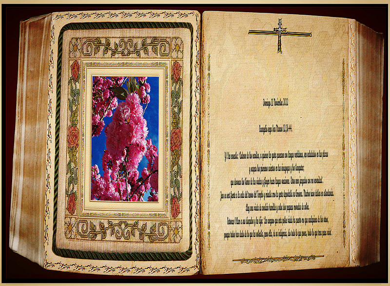 アルタミラ洞窟と北スペインの旧石器時代の洞窟画の画像29