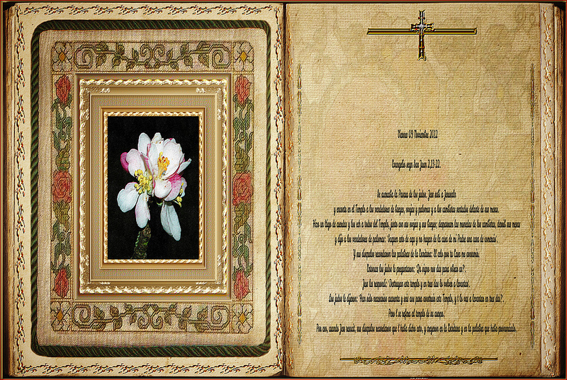 アルタミラ洞窟と北スペインの旧石器時代の洞窟画の画像30