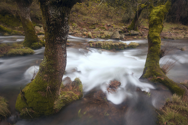 イベリア半島の地中海沿岸の岩絵の画像2