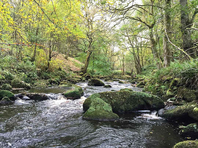 Vale de Moinhosの画像8