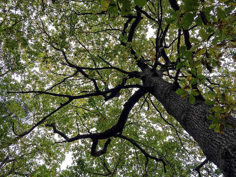 Vale de Moinhosの画像9