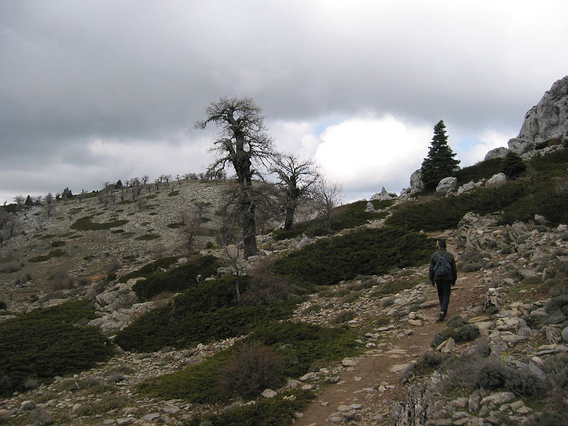 アンテケーラのドルメン遺跡の画像3
