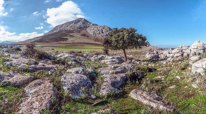アンテケーラのドルメン遺跡の画像6