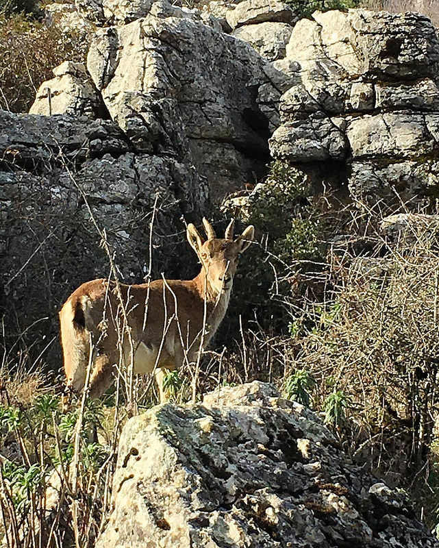 アンテケーラのドルメン遺跡の画像7