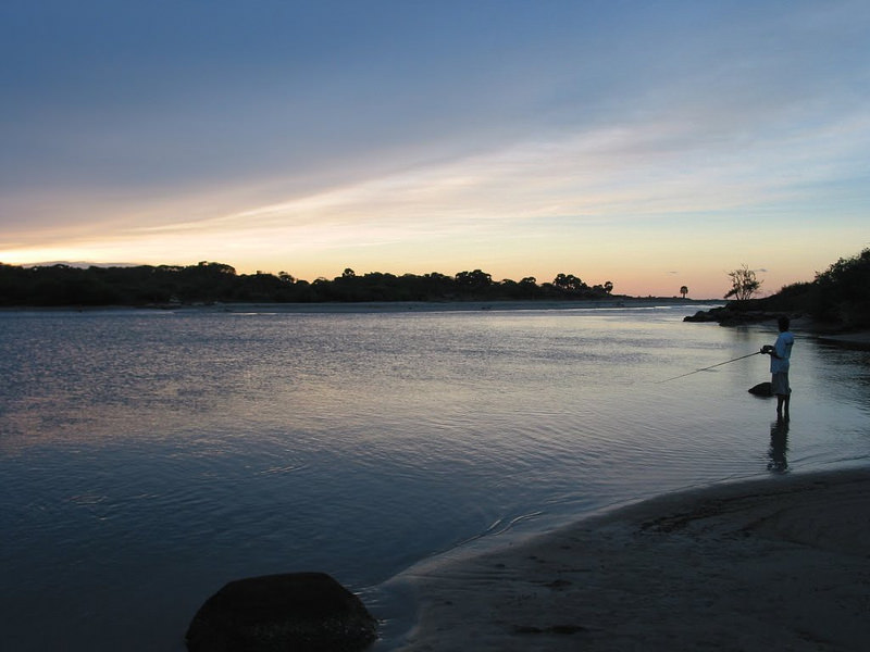 スリランカ中央高原の画像8