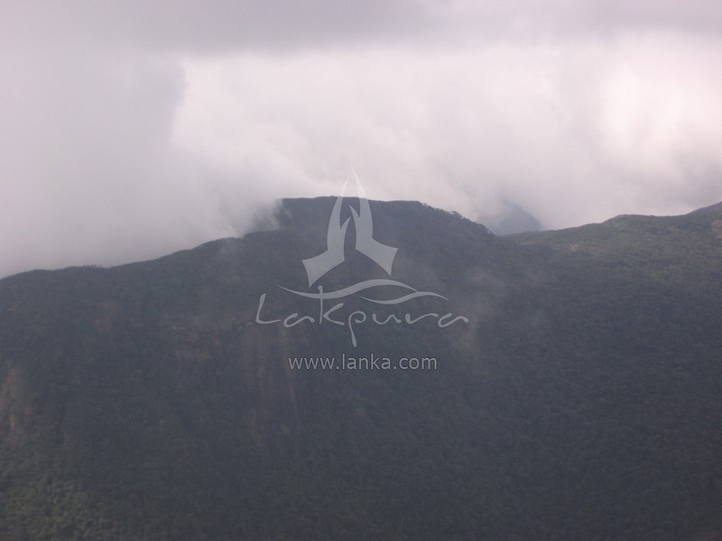 スリランカ中央高原の画像12