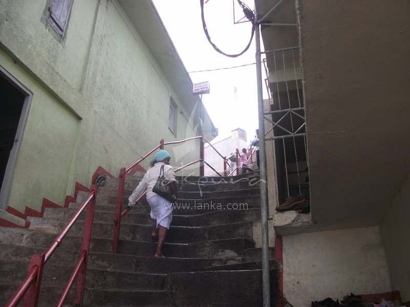 スリランカ中央高原の画像18