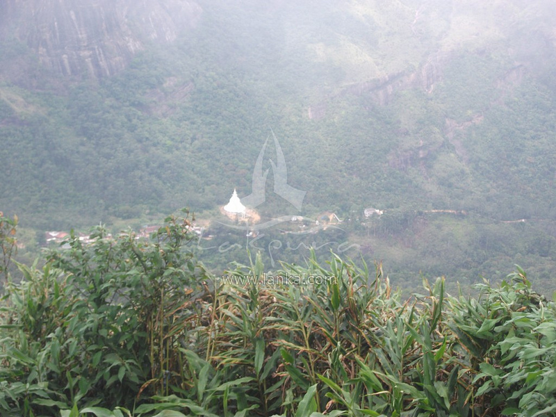 スリランカ中央高原の画像20