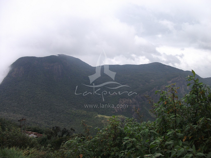 スリランカ中央高原の画像21