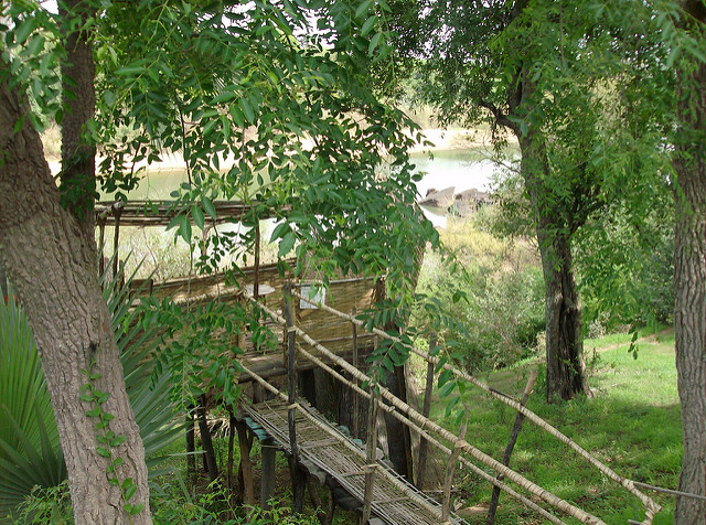 ニョコロ＝コバ国立公園の画像1