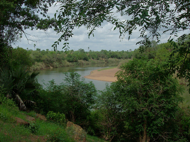ニョコロ＝コバ国立公園の画像2