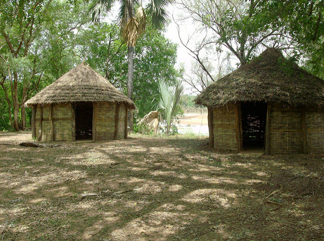 ニョコロ＝コバ国立公園の画像3
