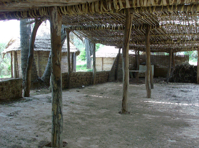 ニョコロ＝コバ国立公園の画像4