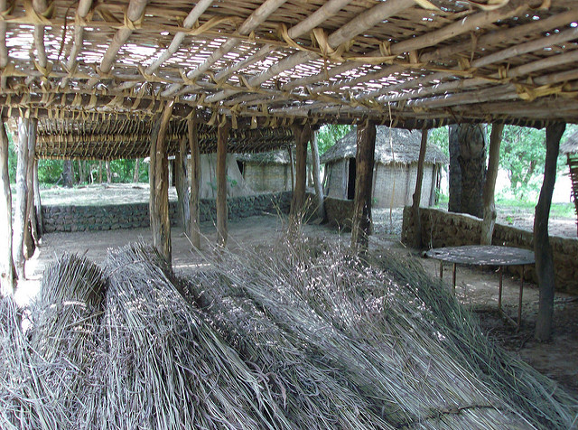 ニョコロ＝コバ国立公園の画像5