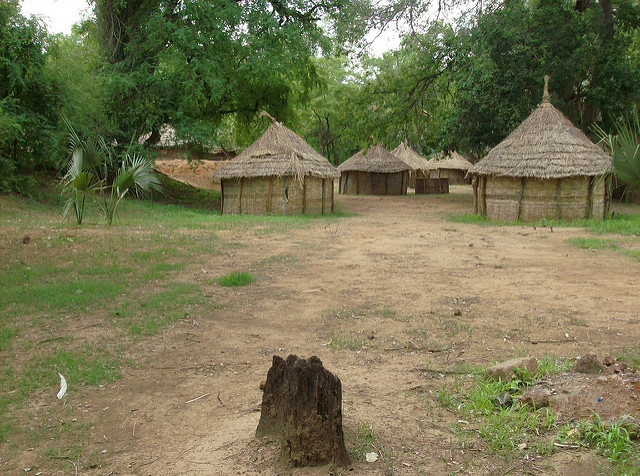 ニョコロ＝コバ国立公園の画像6
