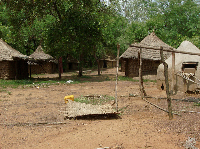 ニョコロ＝コバ国立公園の画像19