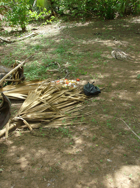 ニョコロ＝コバ国立公園の画像20
