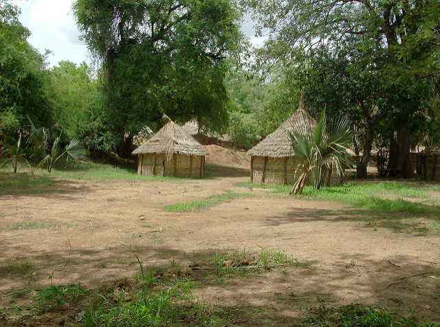 ニョコロ＝コバ国立公園の画像21