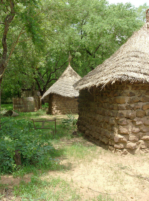 ニョコロ＝コバ国立公園の画像23