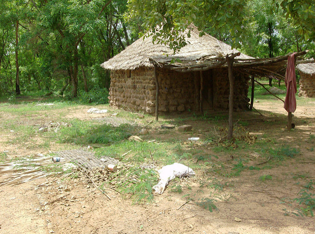 ニョコロ＝コバ国立公園の画像24