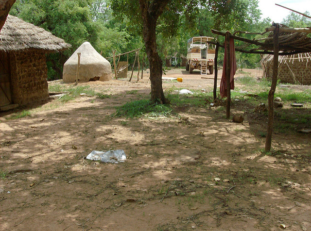 ニョコロ＝コバ国立公園の画像25