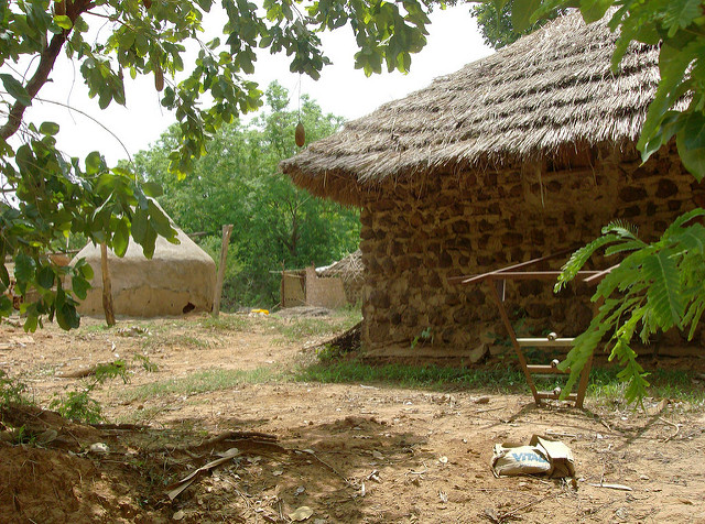 ニョコロ＝コバ国立公園の画像26