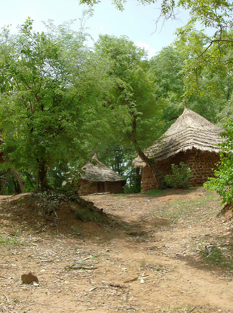 ニョコロ＝コバ国立公園の画像27