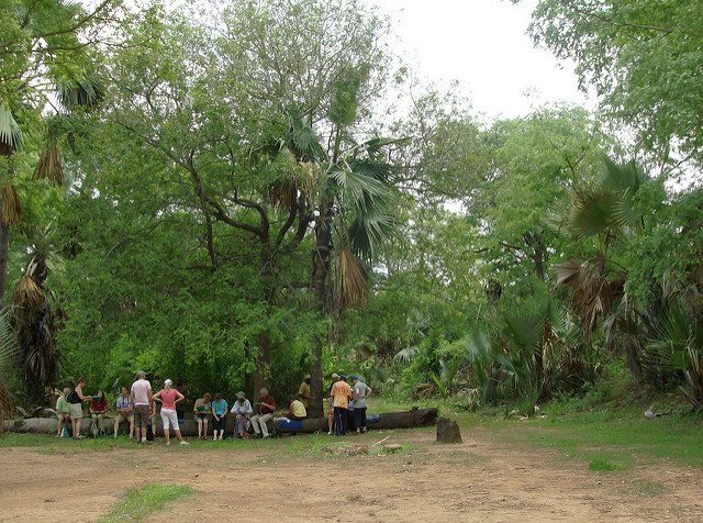 ニョコロ＝コバ国立公園の画像28