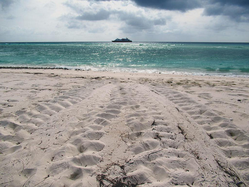 アルダブラ環礁の画像7