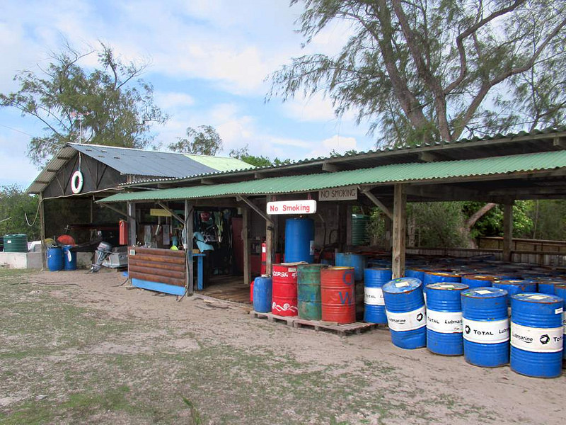 アルダブラ環礁の画像10