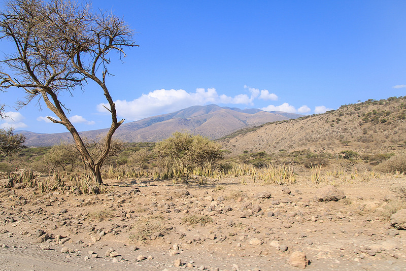 ンゴロンゴロ保全地域の画像17