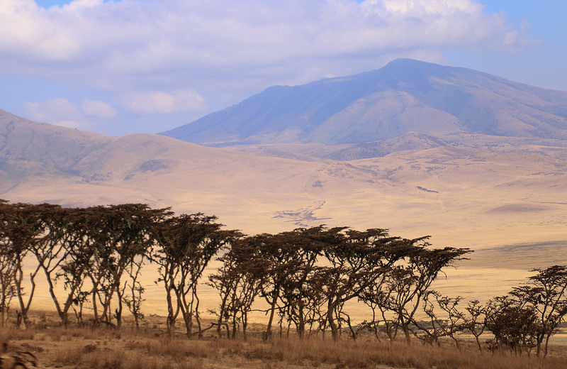 ンゴロンゴロ保全地域の画像19