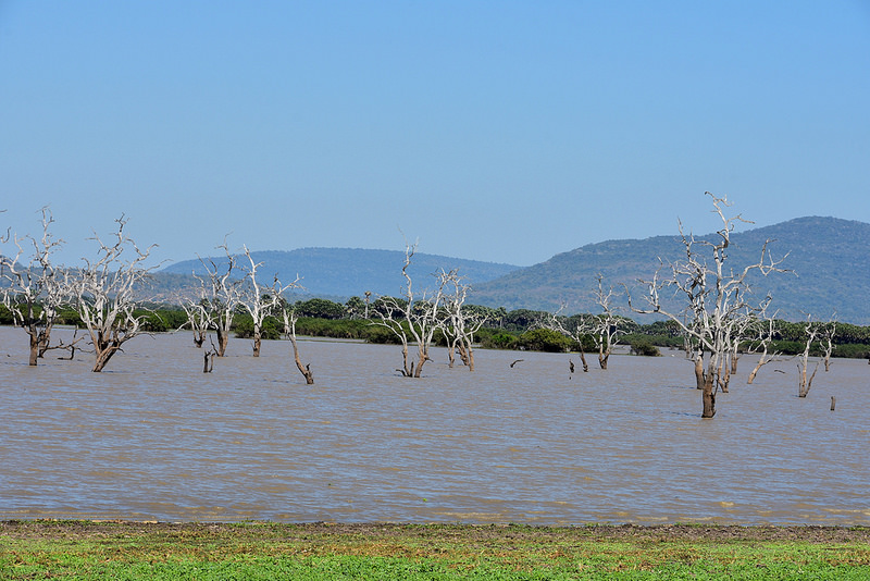 セルー動物保護区の画像7