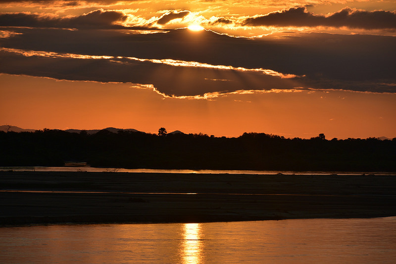 セルー動物保護区の画像14